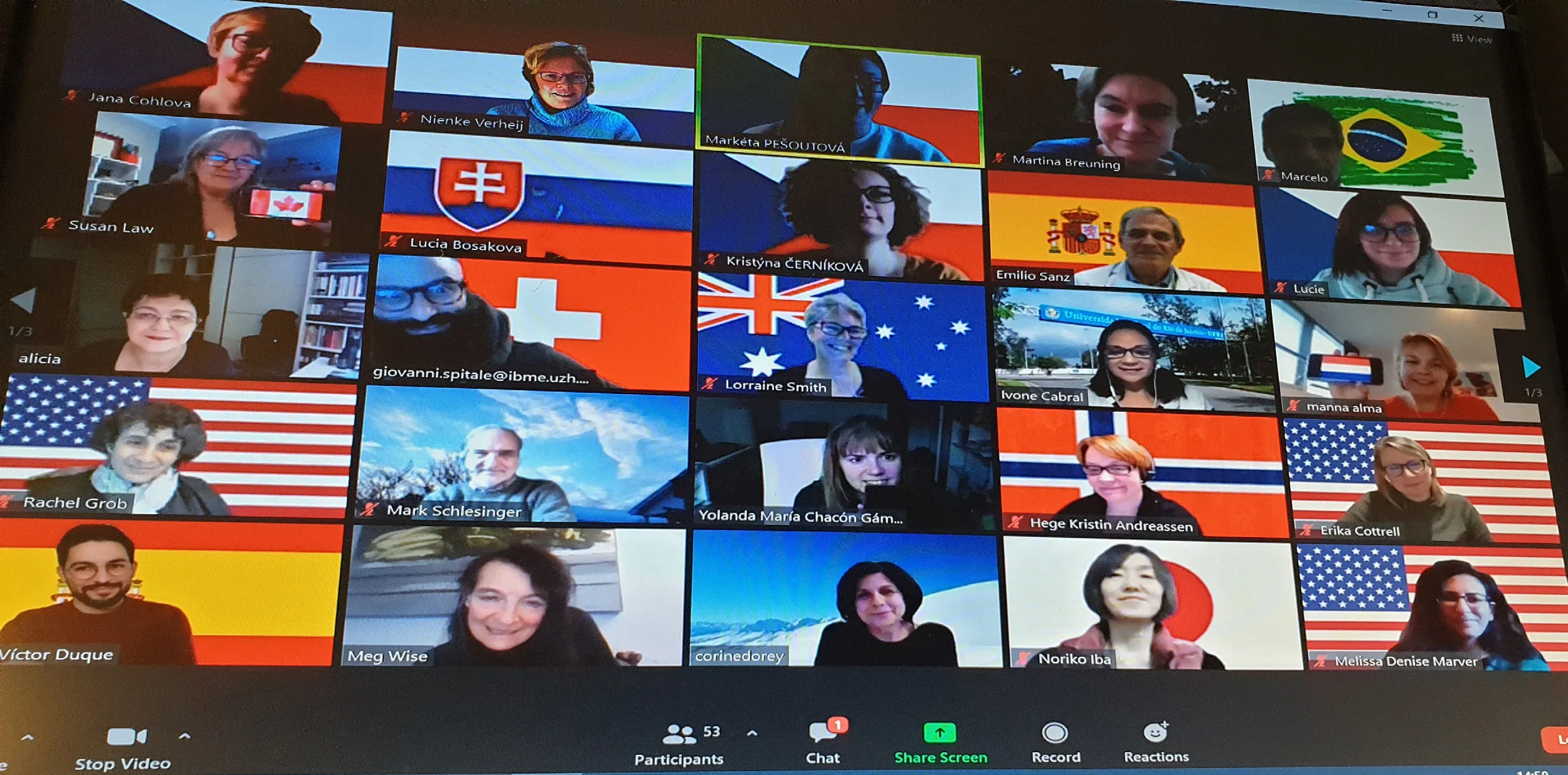 DIPEx Members attending conference via Zoom